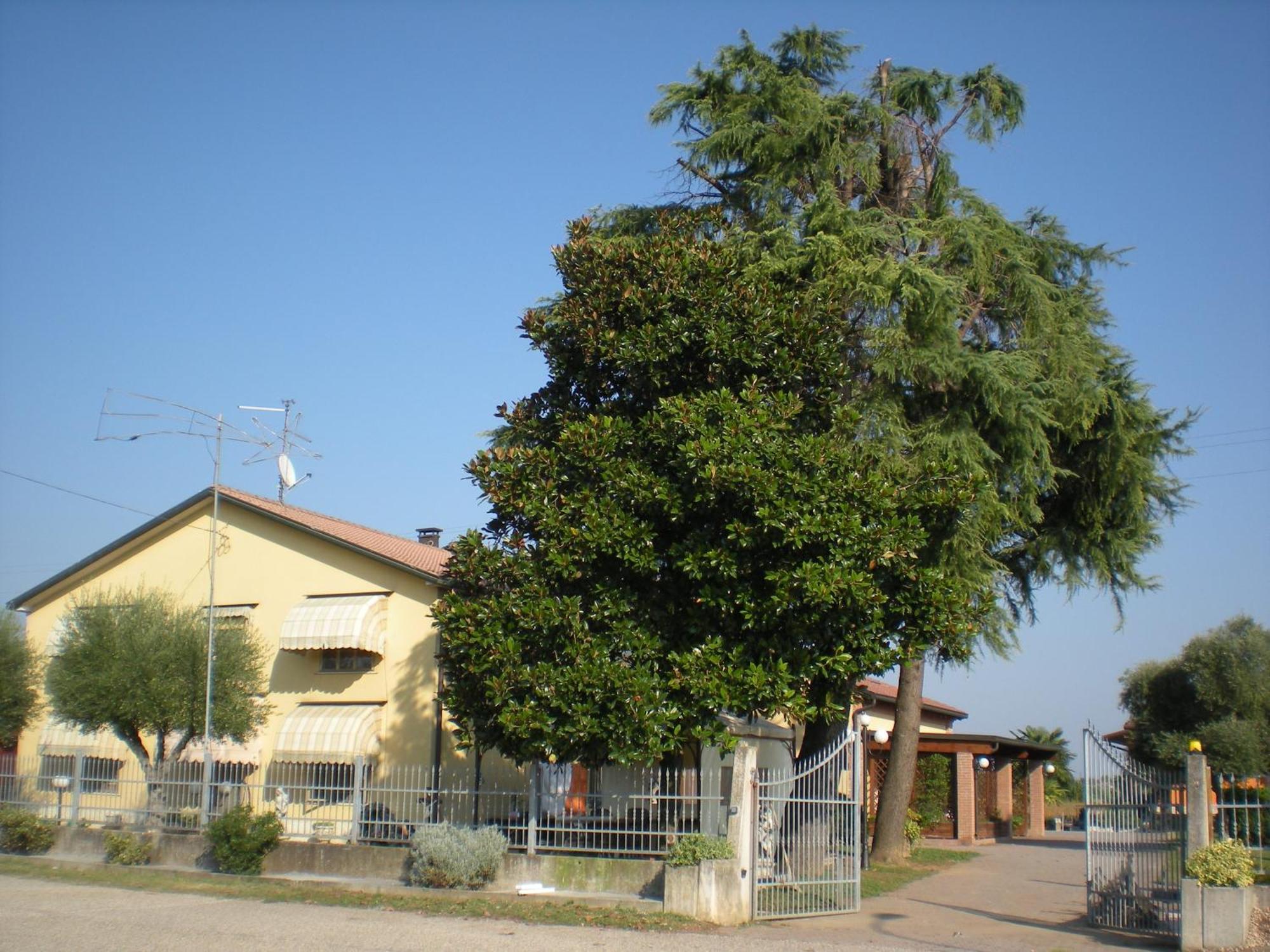 Veronella Camere Solidea מראה חיצוני תמונה